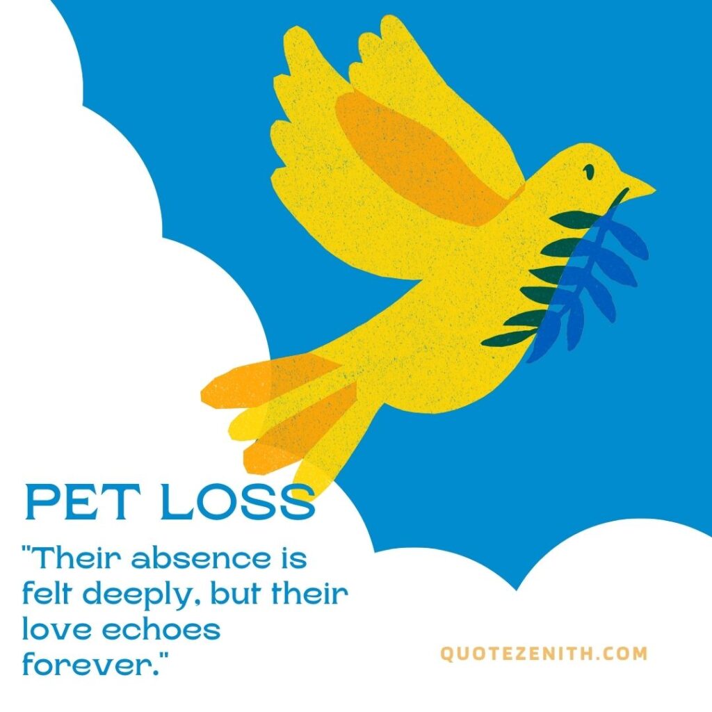 Pet Loss Quotes