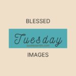 149+ Awesome Tuesday Blessings Images For An Inspiring Week