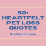 50+ Heartfelt Pet Loss Quotes: Echoes of Paw Prints 
