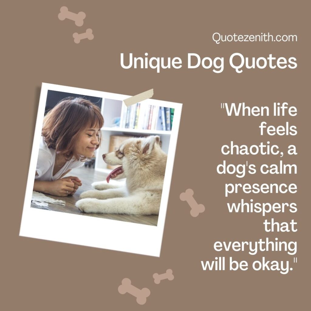 Unique Dog Quotes