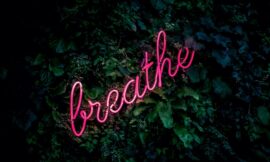 From Ancient Scrolls to Digital Scrolling: The Global Obsession with Quote Wisdom