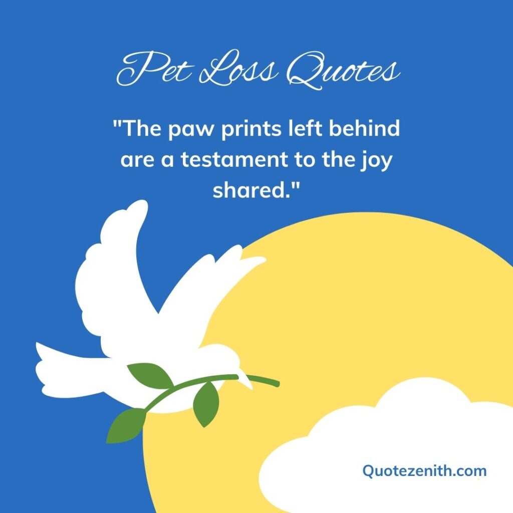Pet Loss Quotes