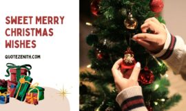 180+ Cheery Merry Christmas Wishes to Make This Season Sparkle!