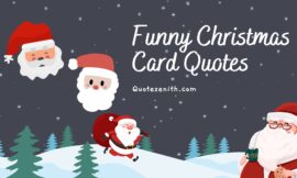 80+ Funny Christmas Card Quotes to Make Your Loved Ones Laugh
