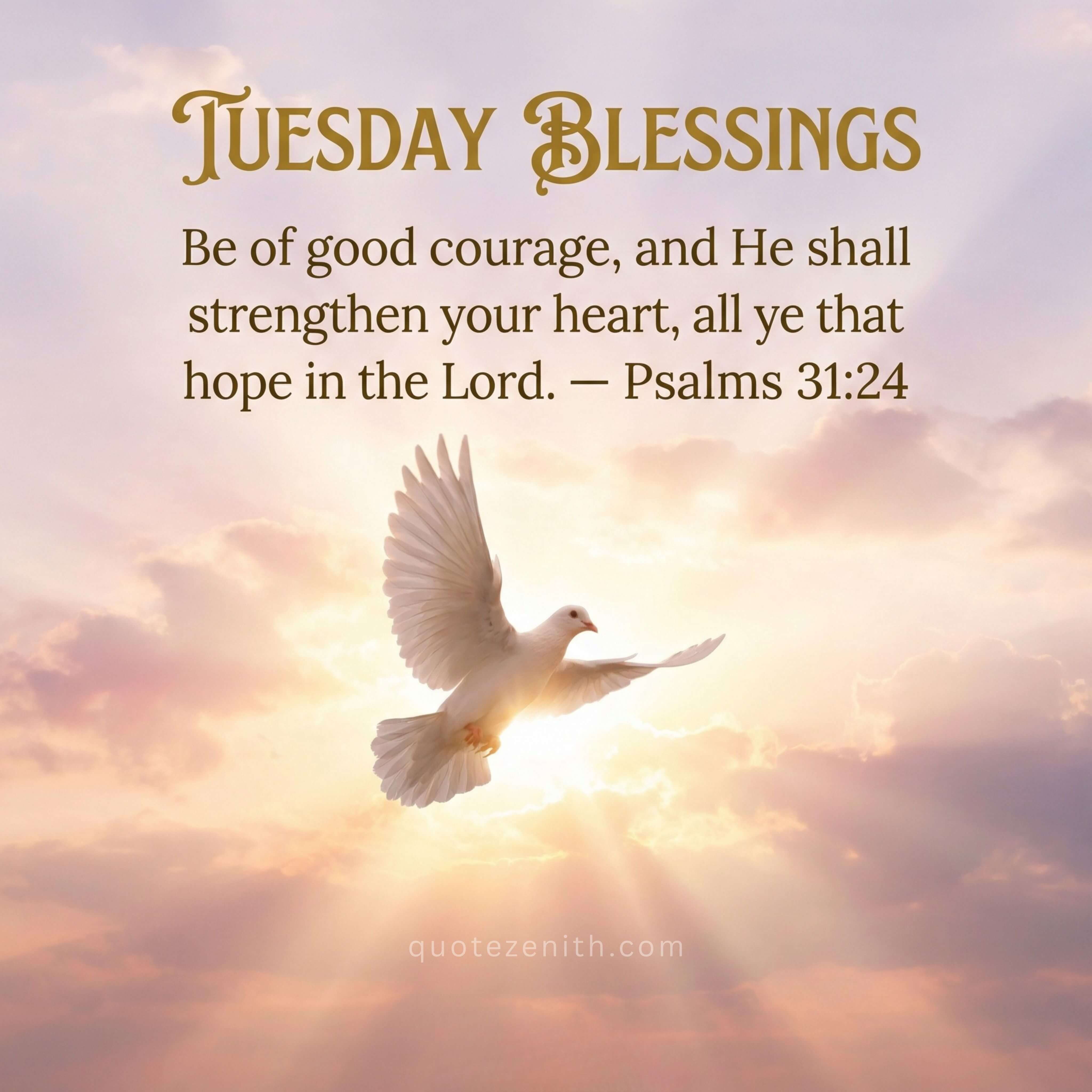 50 Tuesday Morning Blessings You’ll Actually Want to Send (Not Cringe, Just Good) 2026 1 Tuesday Morning Blessings 2026